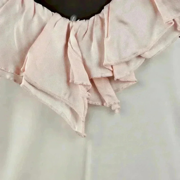 Ralph Lauren LRL Pullover Ruffled Scoop neck Blush Pink LS SHIRT Medium EUC - Picture 4 of 7